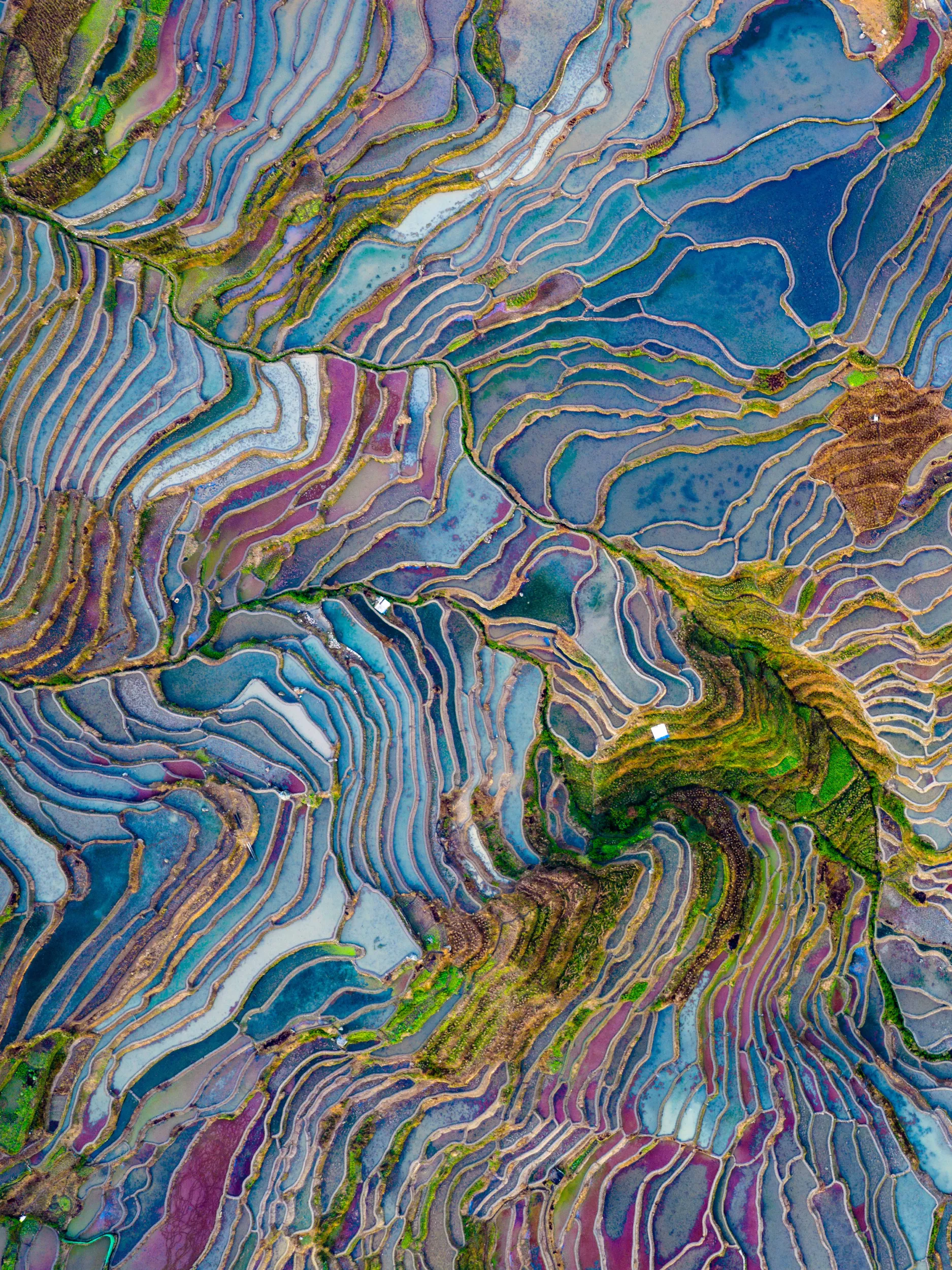LS-01