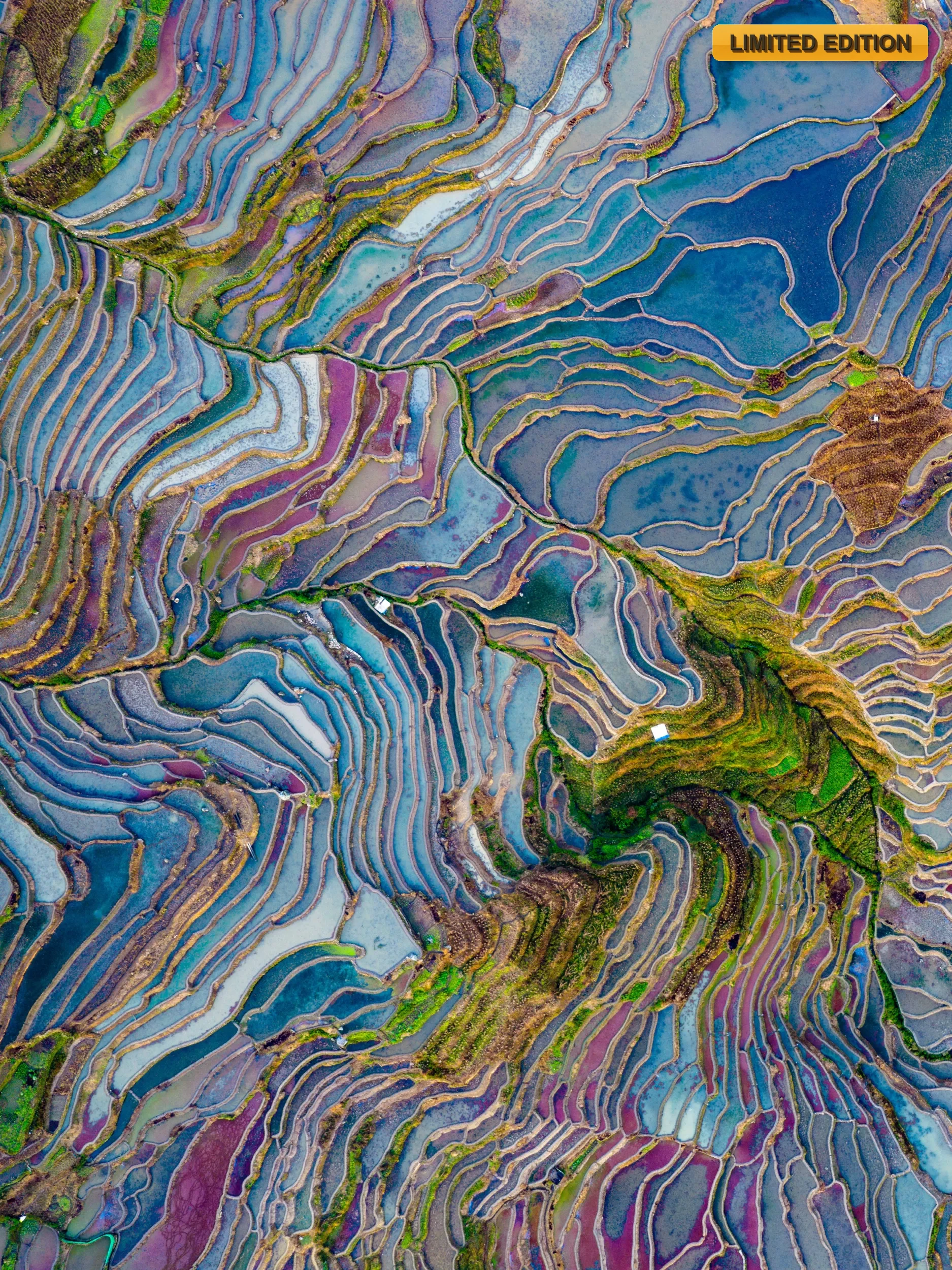 LS-01
